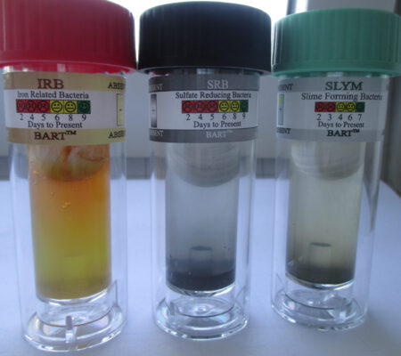 Verschiedene Schnelltests zur Überprüfung bakterieller Kontaminationen in Wasser