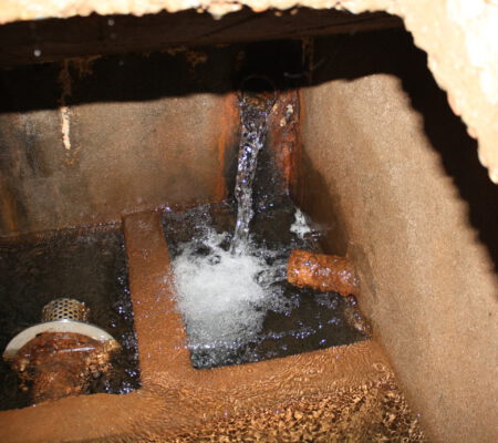 Eisenhaltige Abscheidungen in einem Quellschacht