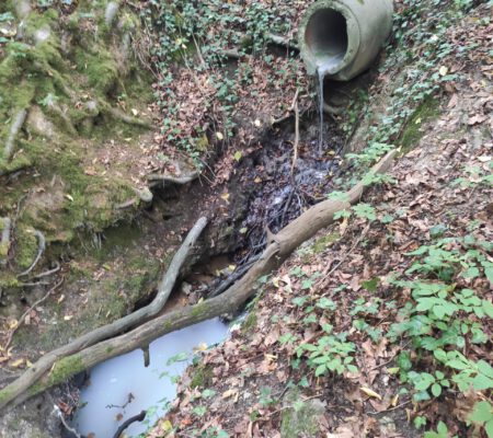 Mit Waschmittel verunreinigter Bachlauf