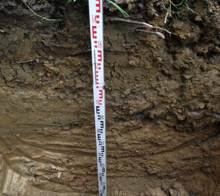 Bodenprofil aus einem Baggerschurf